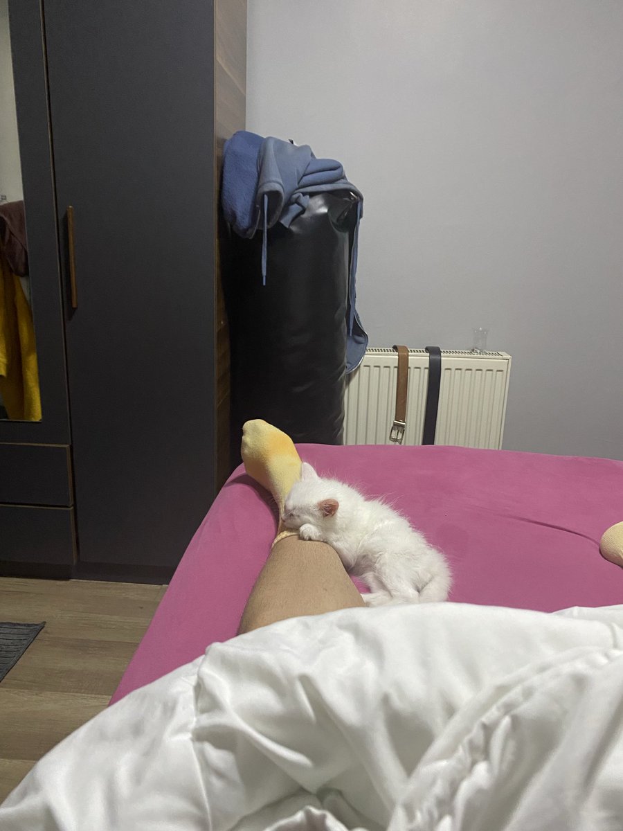 ErenKotil's tweet photo. Güne şu şekil başlamak https://t.co/I0cQLp0h8r