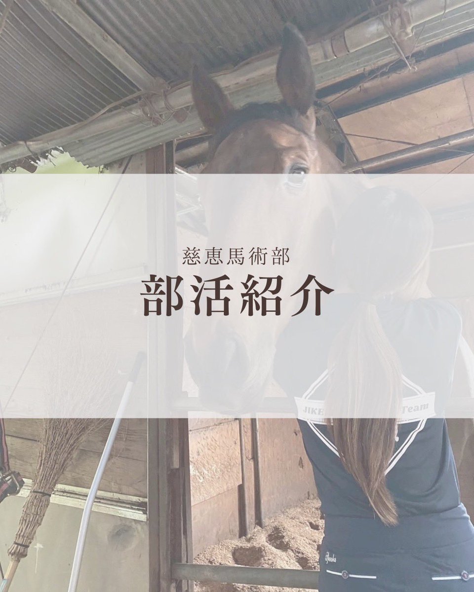 jikei_umabu's tweet photo. 慈恵医大馬術部の部活紹介です！
部員数は多くないですが、とても仲良く活動しています、ぜひご覧ください！

#慈恵医大　#慈恵　#馬術部 https://t.co/eZNVRl8dbe