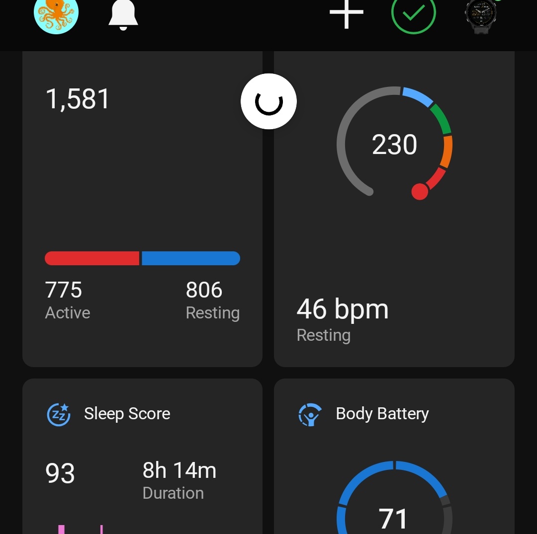 Shoshana Weissmann, Sloth Committee Chair 🦥 tweet media