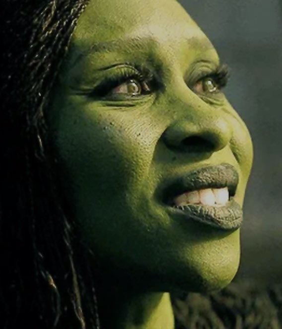 elphie’slawyer tweet media