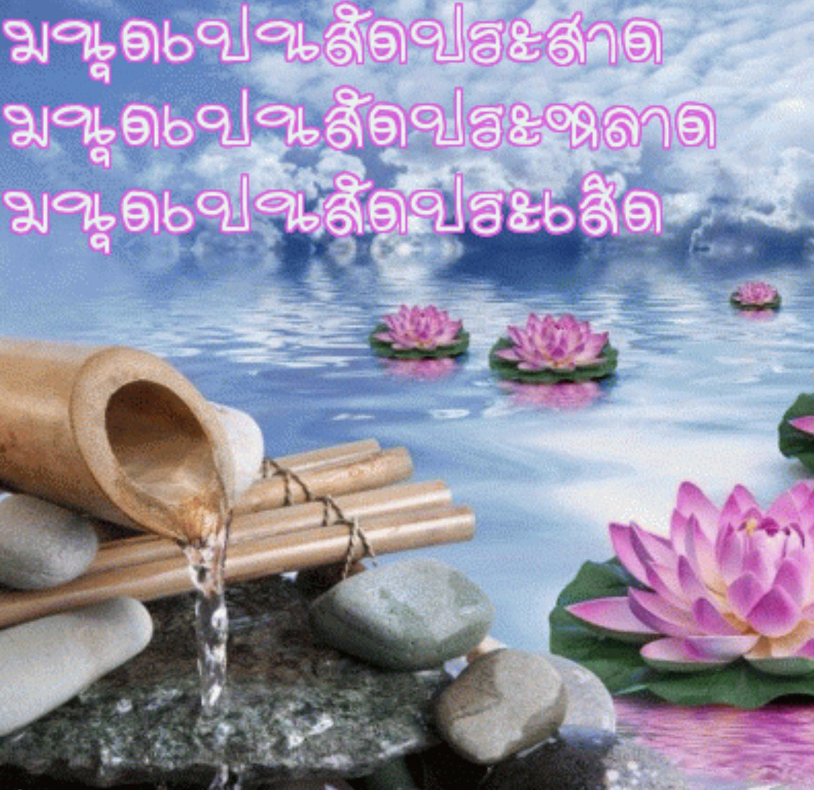 ꪔ̤̮ชี่໒꒱༝⁺🪷 tweet media
