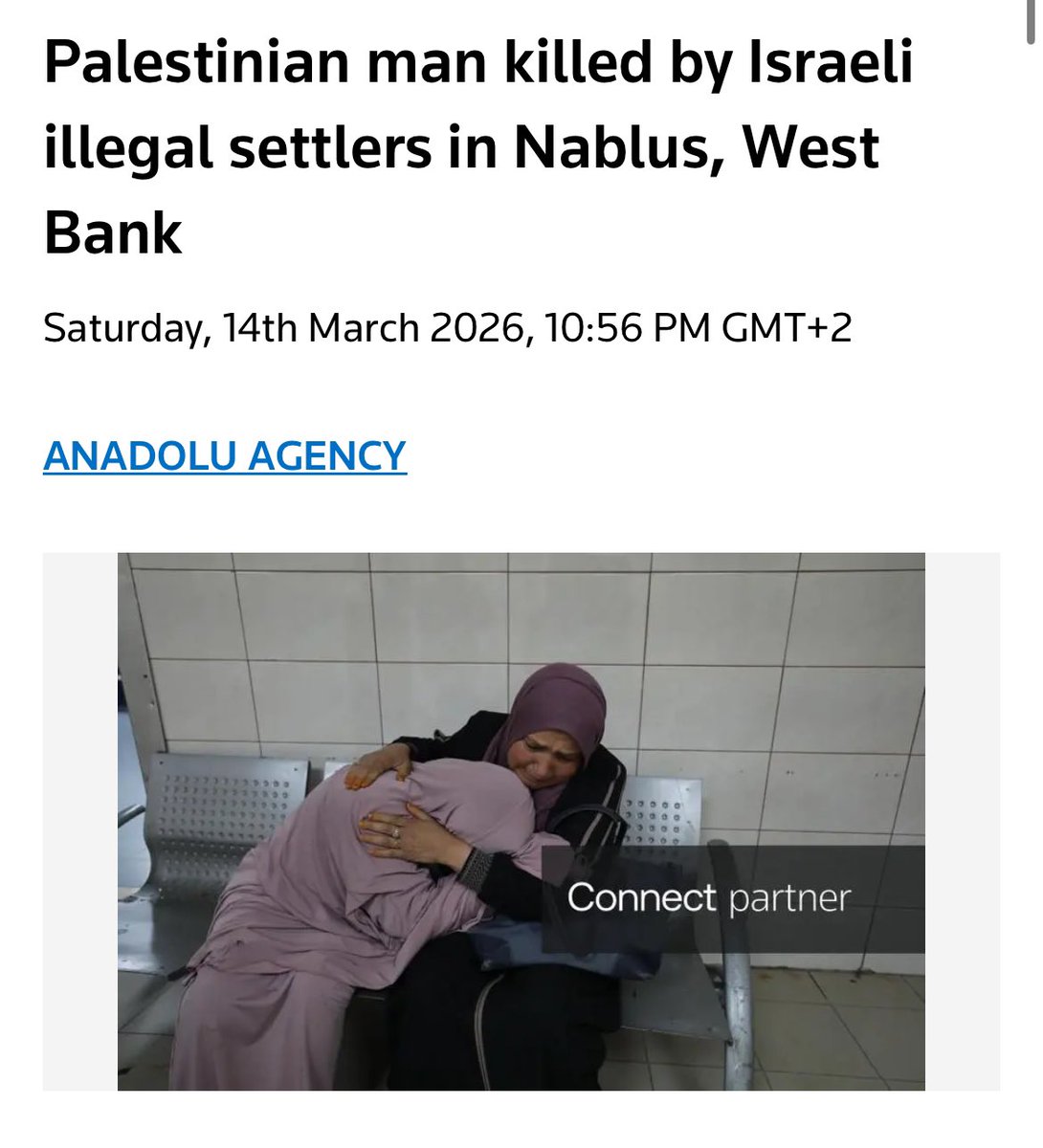 Alexandra Lisogor tweet media