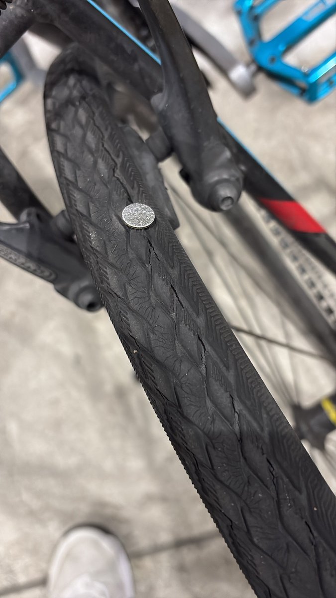 林遼佑(Ryosuke Hayashi) / りんりん tweet media