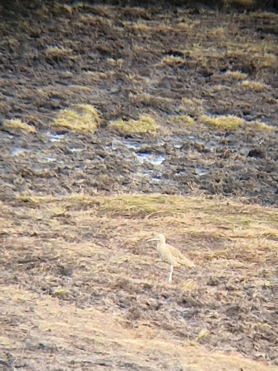 Natural Derbyshire Tours tweet media