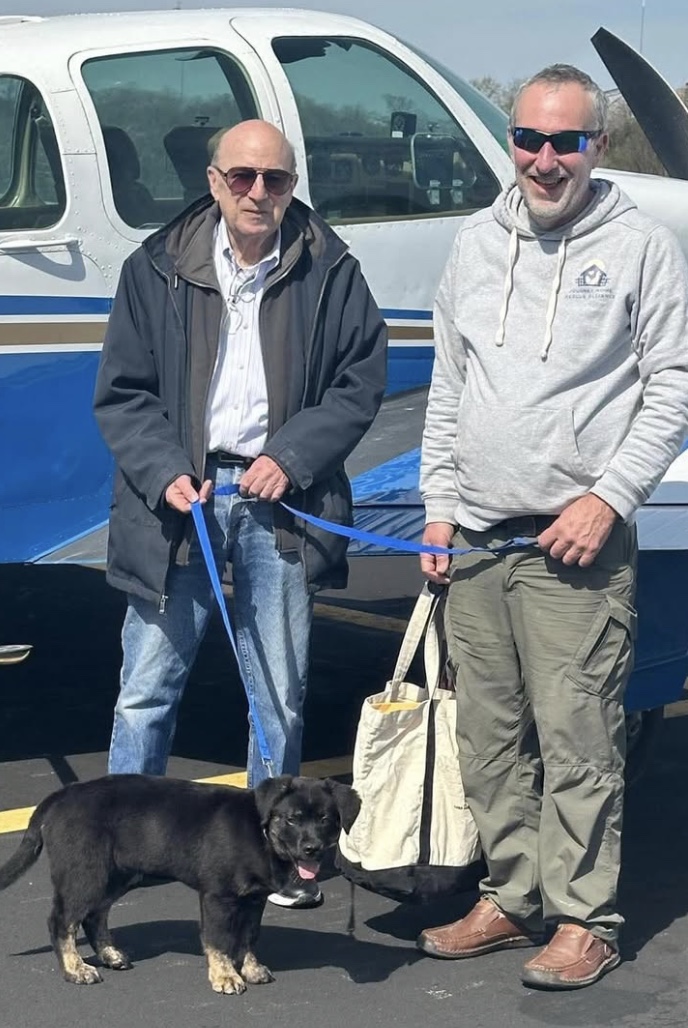 Pilots N Paws tweet media