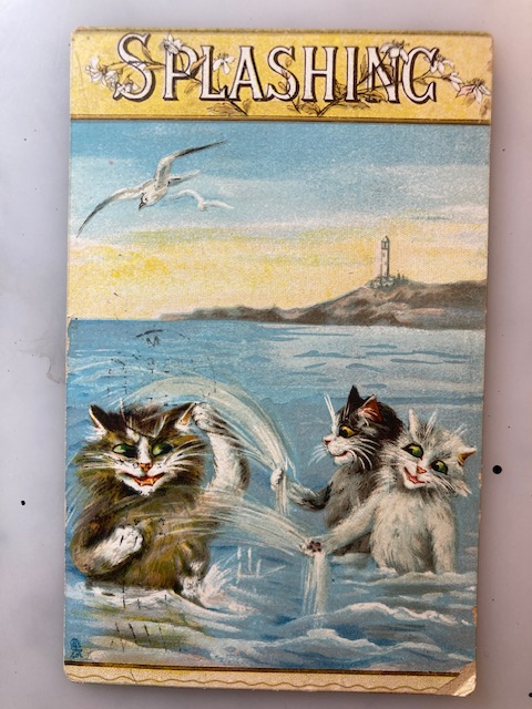 Pam's Pictorama tweet media