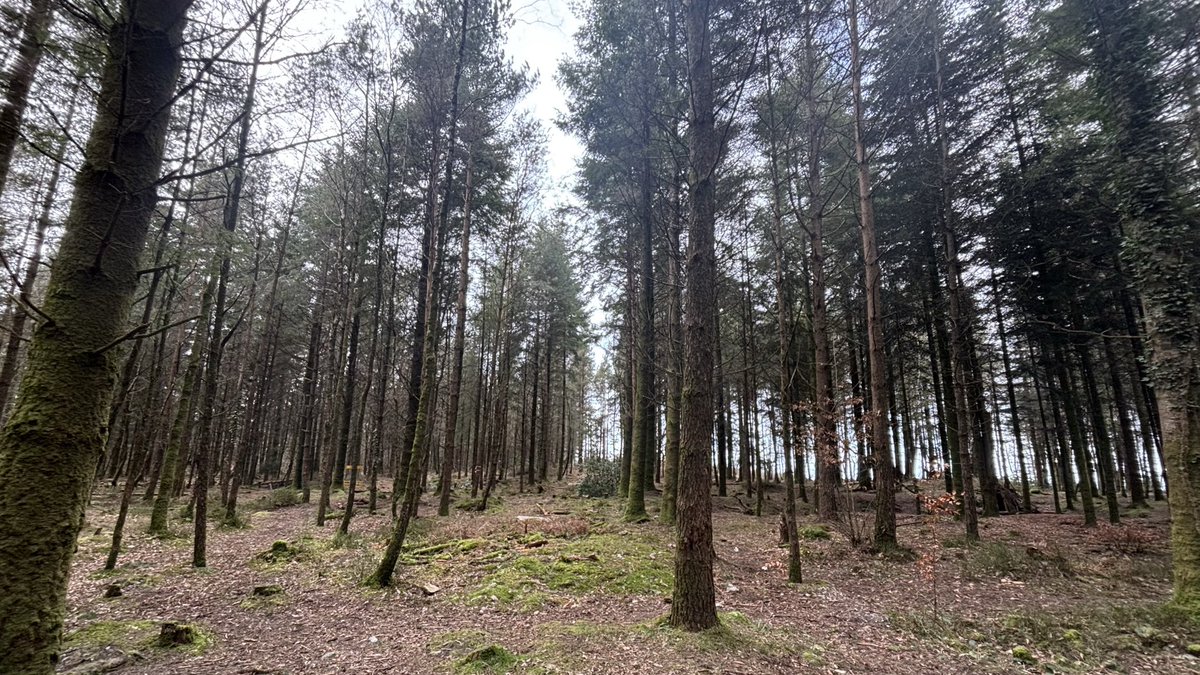 RedMatter🌹 tweet media