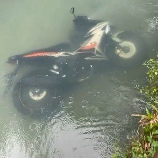 Novice.X 🟦 tweet media