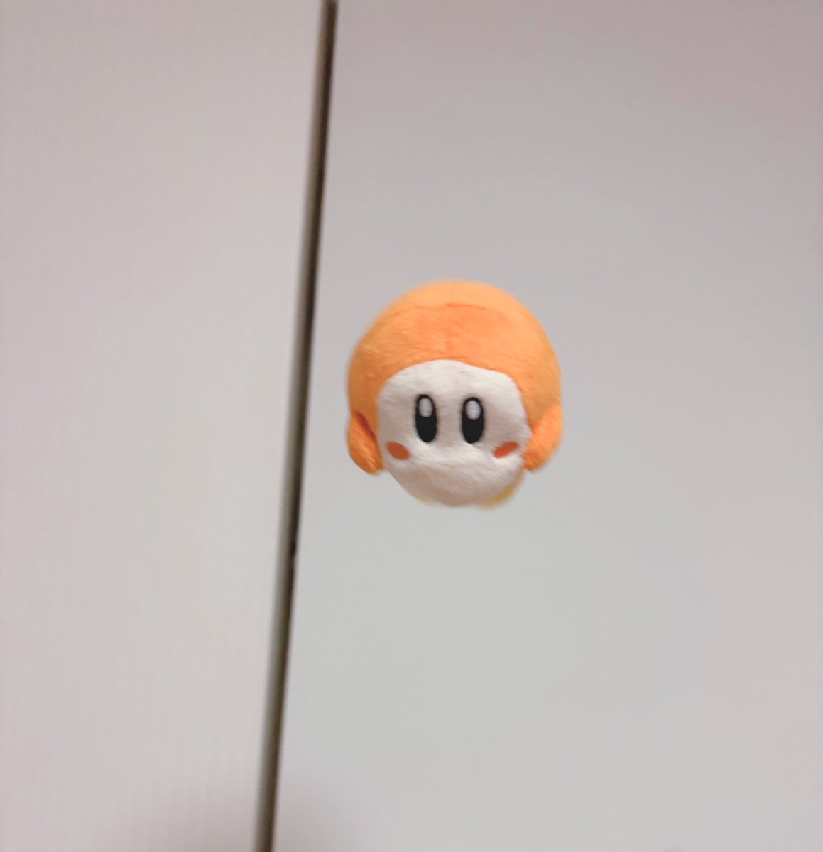 アサリ tweet media