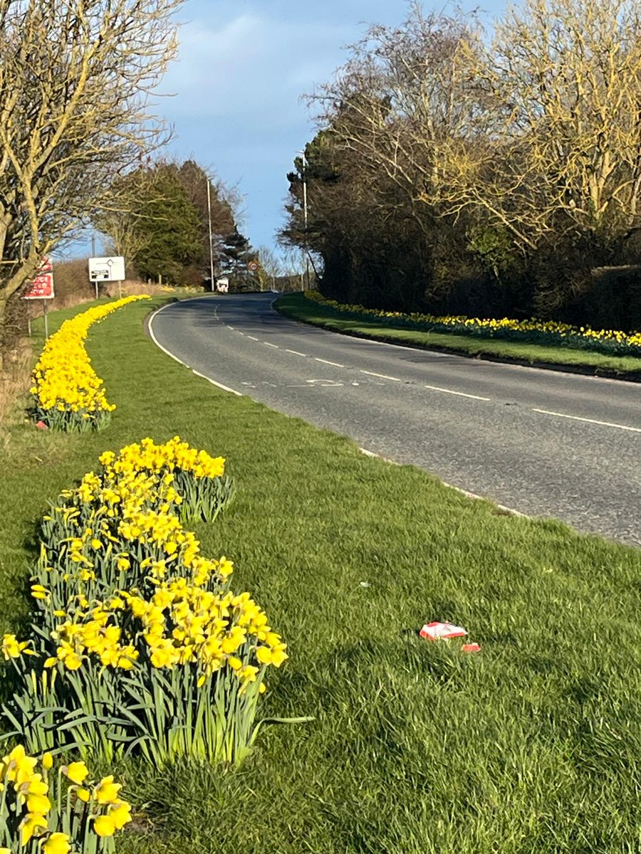 Berwick Rotary tweet media