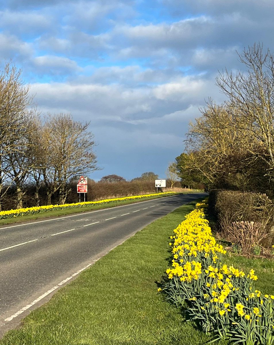 Berwick Rotary tweet media