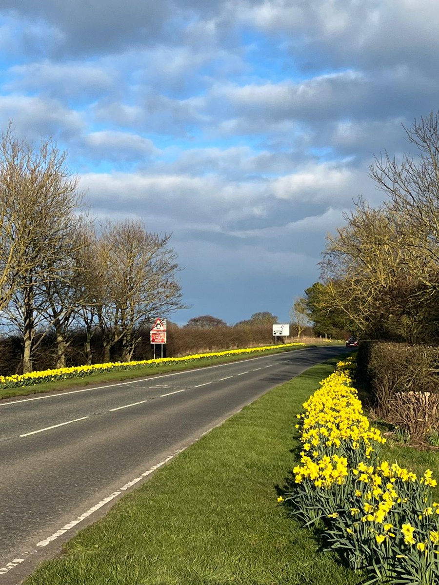 Berwick Rotary tweet media