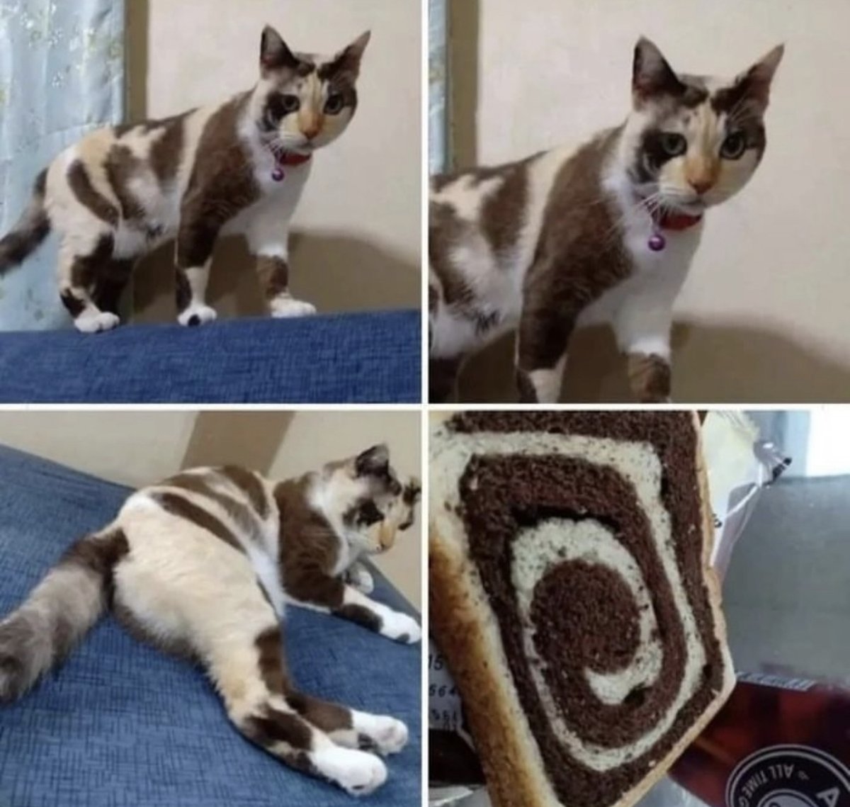 i like food tweet media