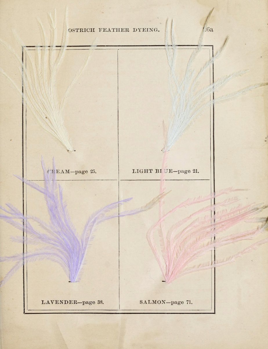 The Public Domain Review tweet media