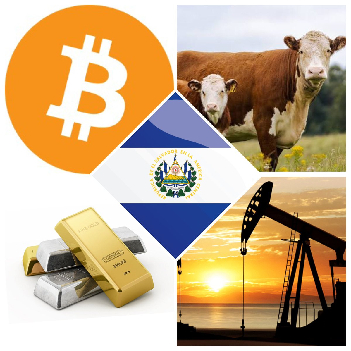 Sergio Bermudez tweet media