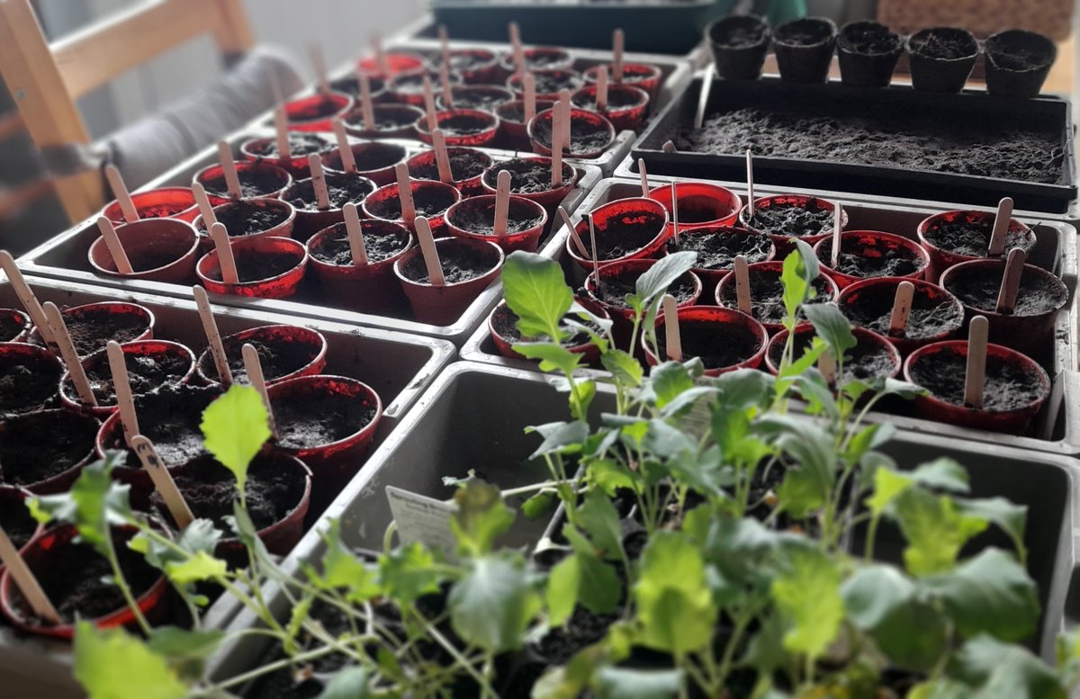 ᒪIᗩᗰ tweet media