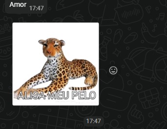 Todo Dia uma edição foda do INFY tweet media