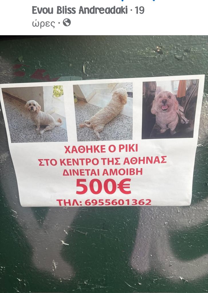 εφη απλα tweet media