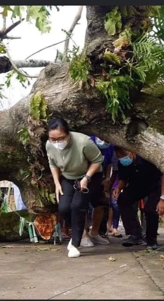 @iamjet 💔💚 tweet media