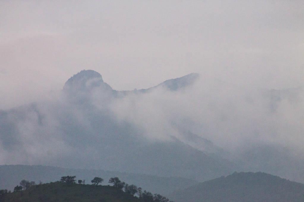 Iram Ortega 👁 tweet media