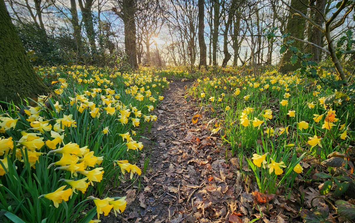 Robbledo tweet media