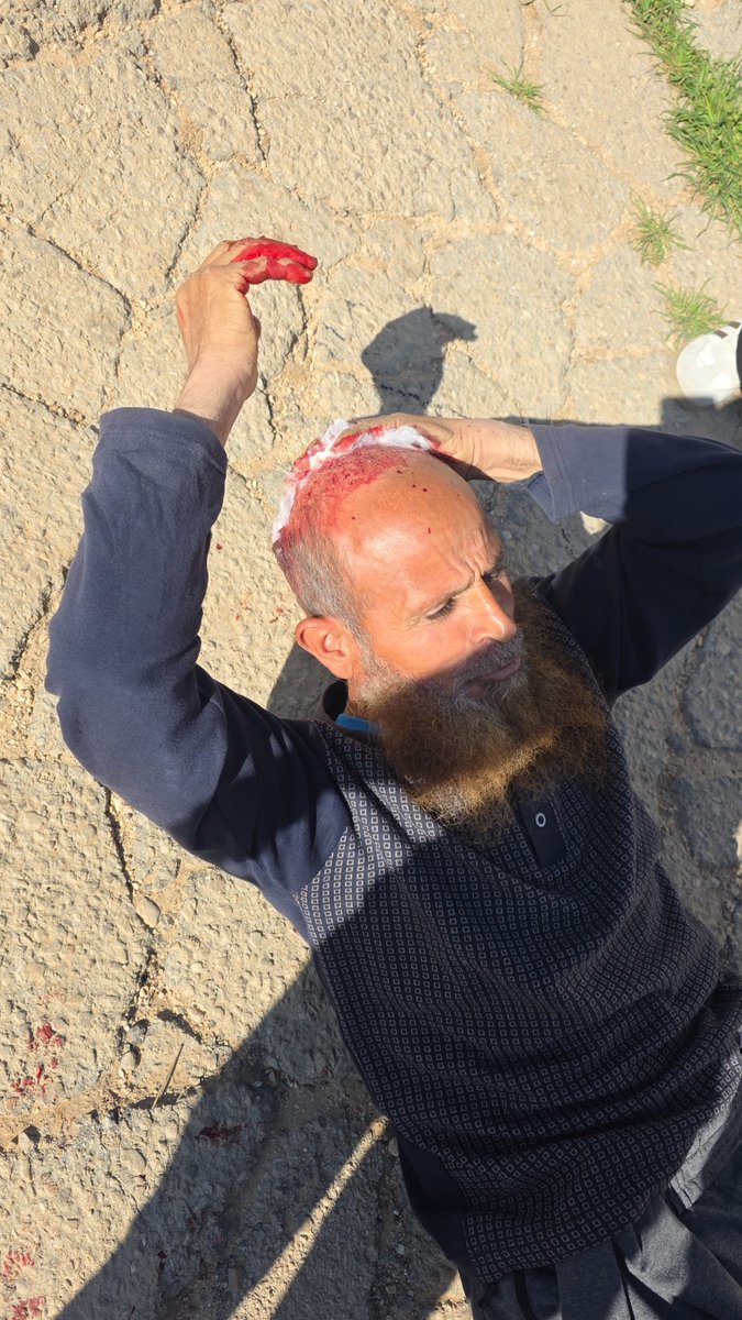 MK Aida Touma-Sliman tweet media