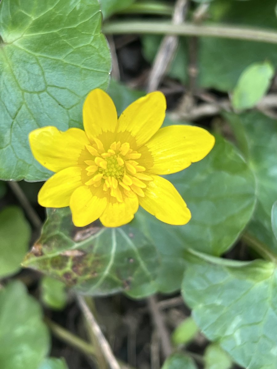 Terry Flanagan tweet media