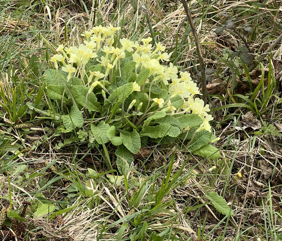 Terry Flanagan tweet media
