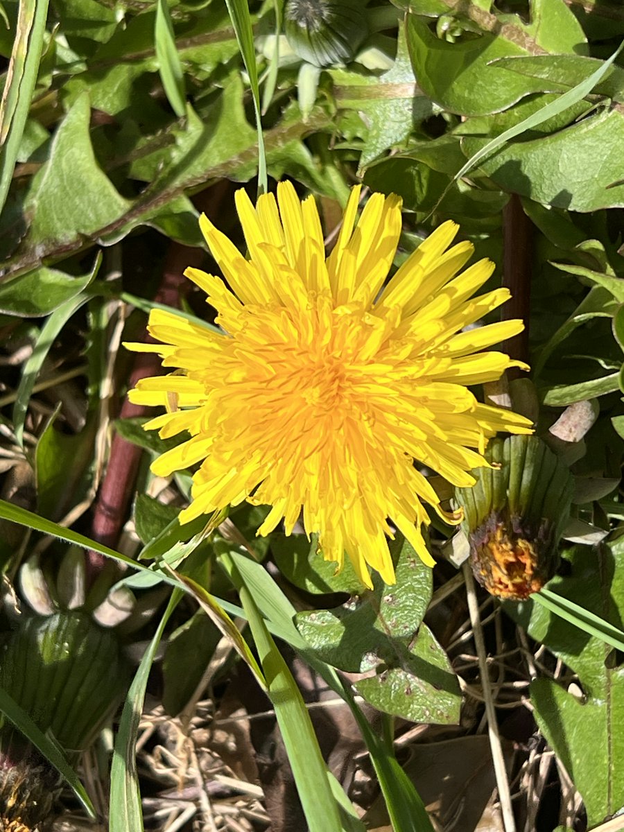 Terry Flanagan tweet media