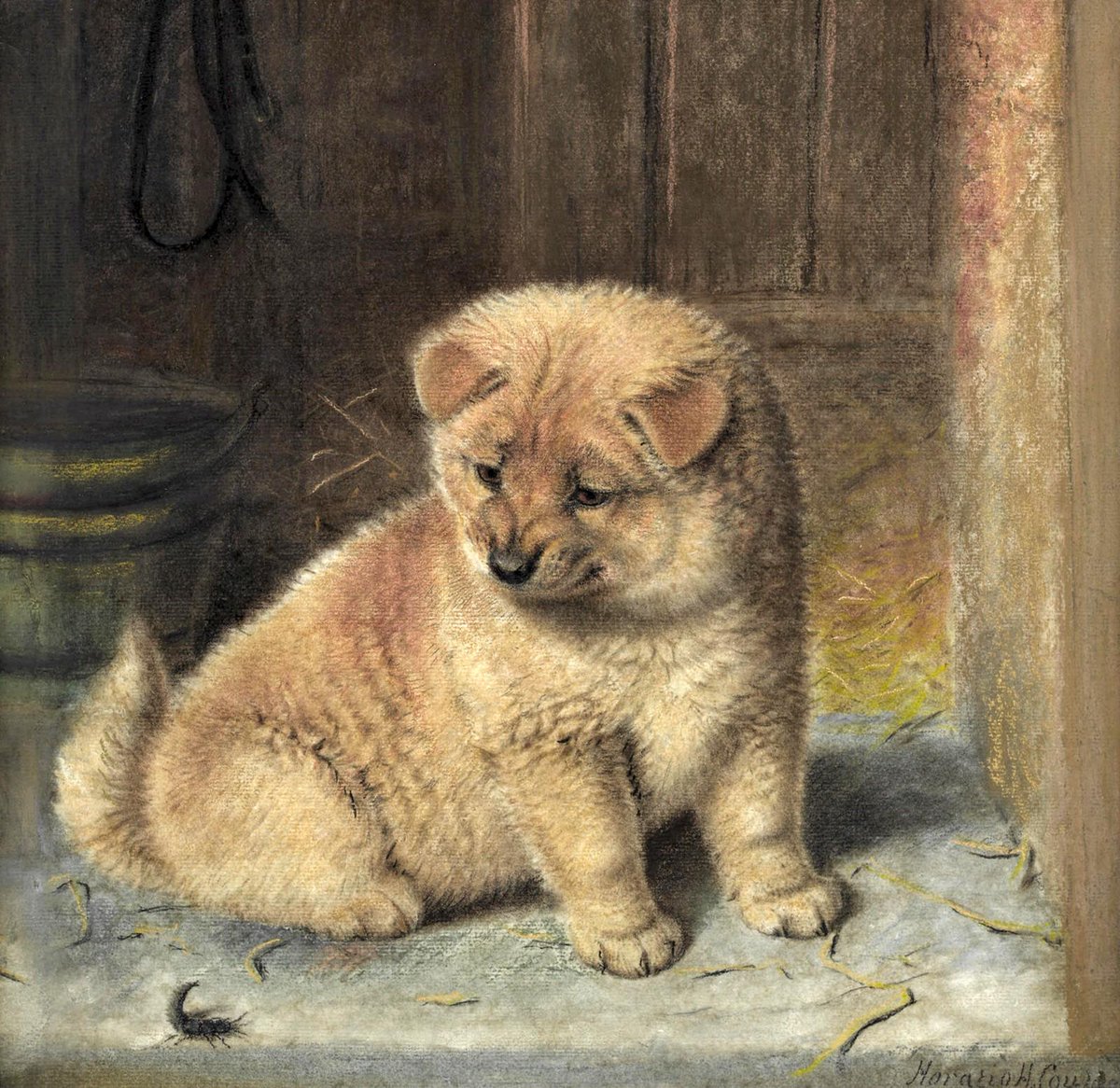 ホレイショ・ヘンリー・コールドリー
（Horatio Henry Couldery、1832-1918）
『招かれざる客』
（The Unwelcome Visitor）