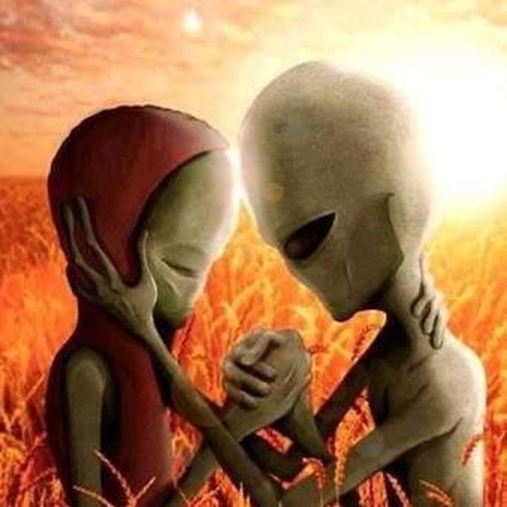 💤abella tweet media