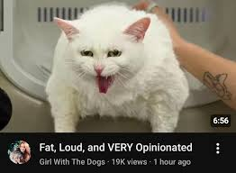 grim twisted wonderland