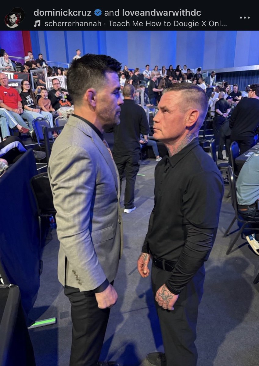 Connoisseur of Combat tweet media