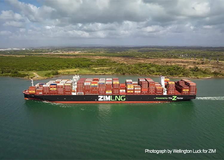 ROICRHODES tweet media