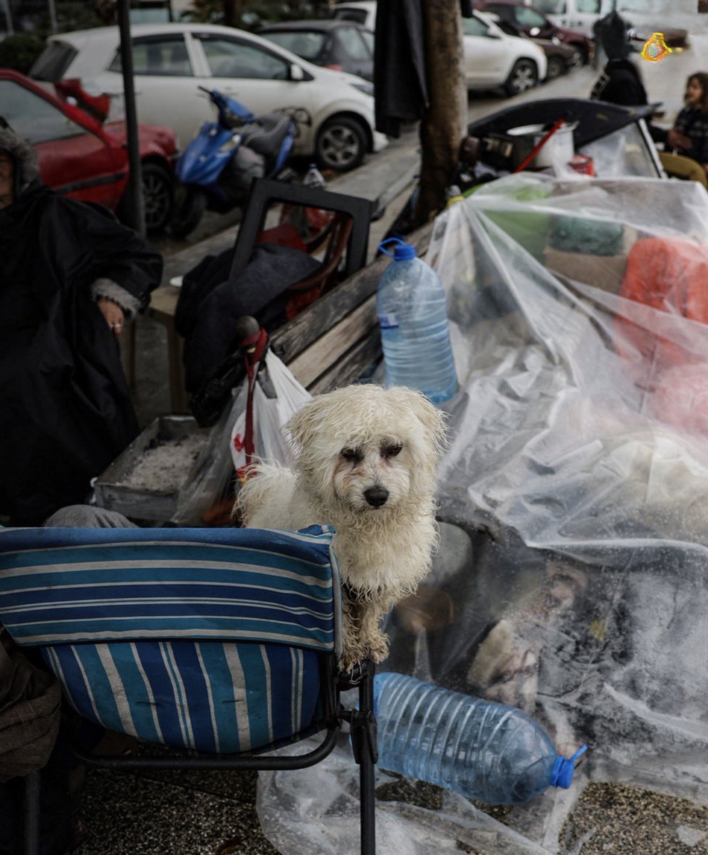 saleh 🇰🇼 tweet media