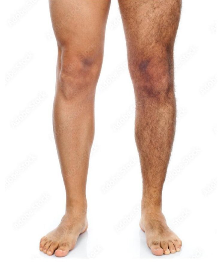 رغد الحربي tweet media