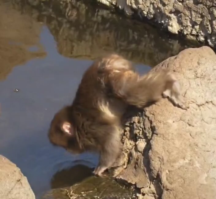 haru (punch/acc) tweet media