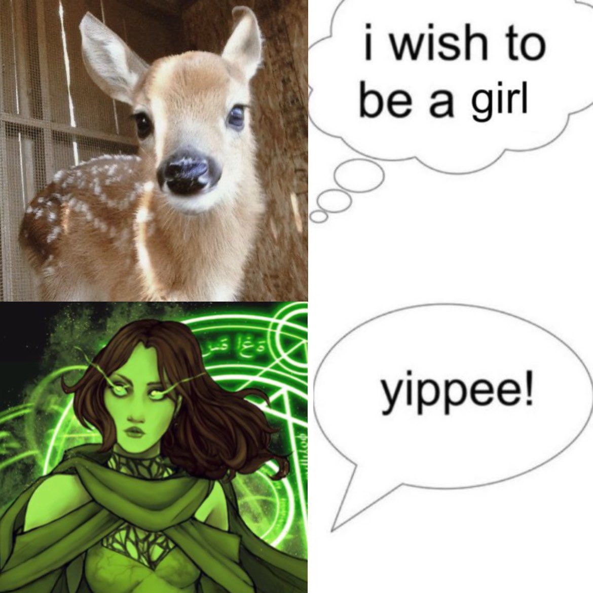 _____ ˗ˏˋ ᵈʳ’ ᗰ ᵒᵒⁿᵉ ࣪ ִֶָ☾. tweet media