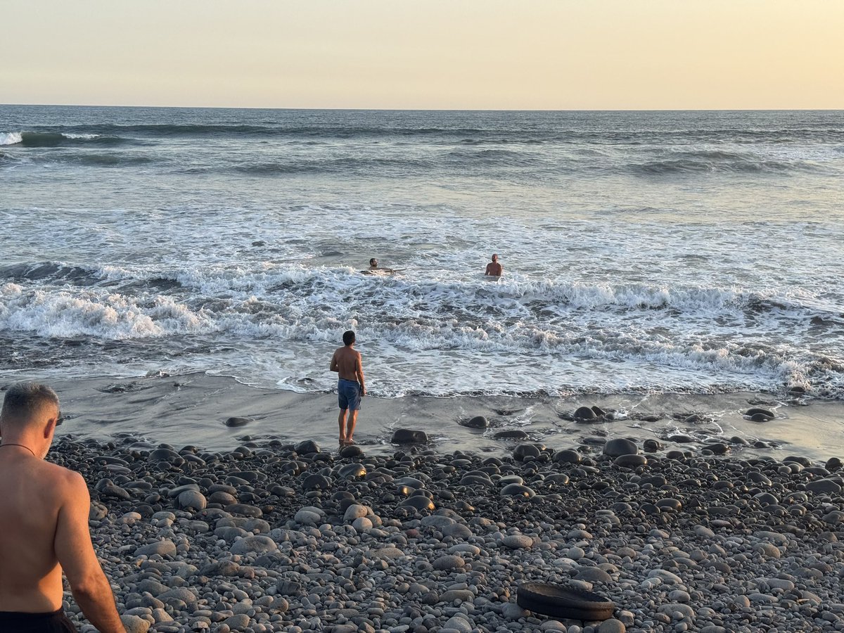 Sergio Bermudez tweet media