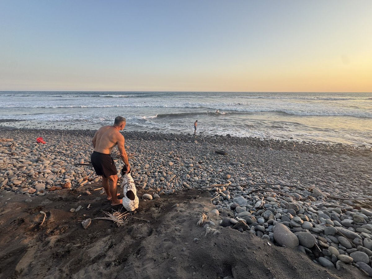 Sergio Bermudez tweet media