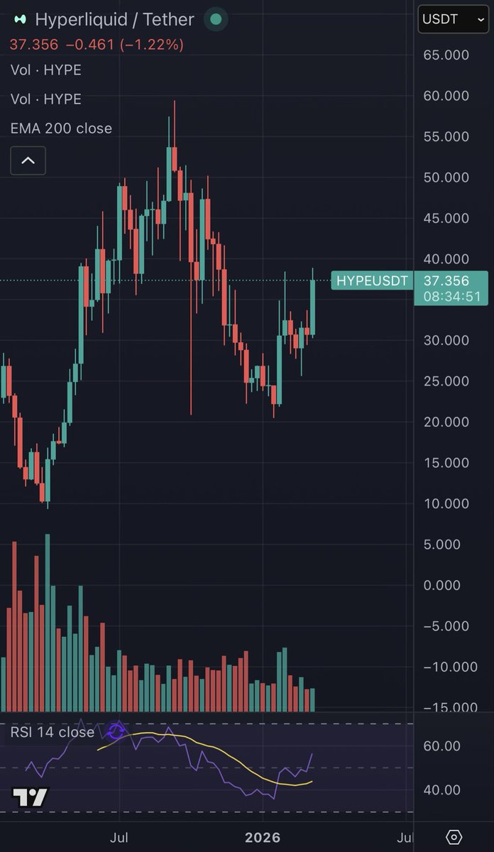 Little Lord HODLaRoy tweet media
