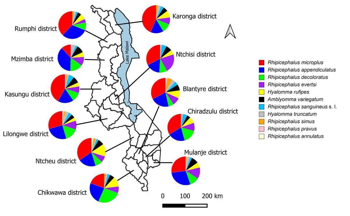 Parasite - The Journal tweet media