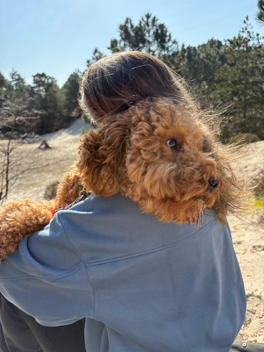 Stephanie-Joy Eerhart tweet media