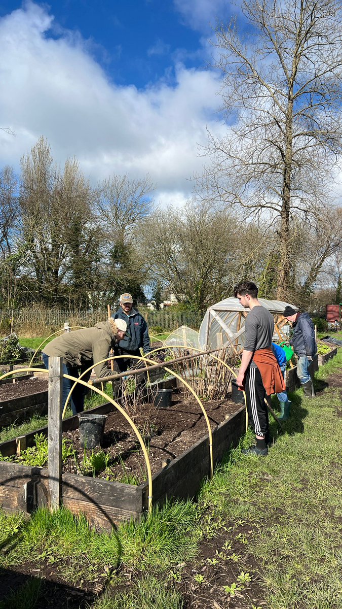 Togher Community Garden tweet media