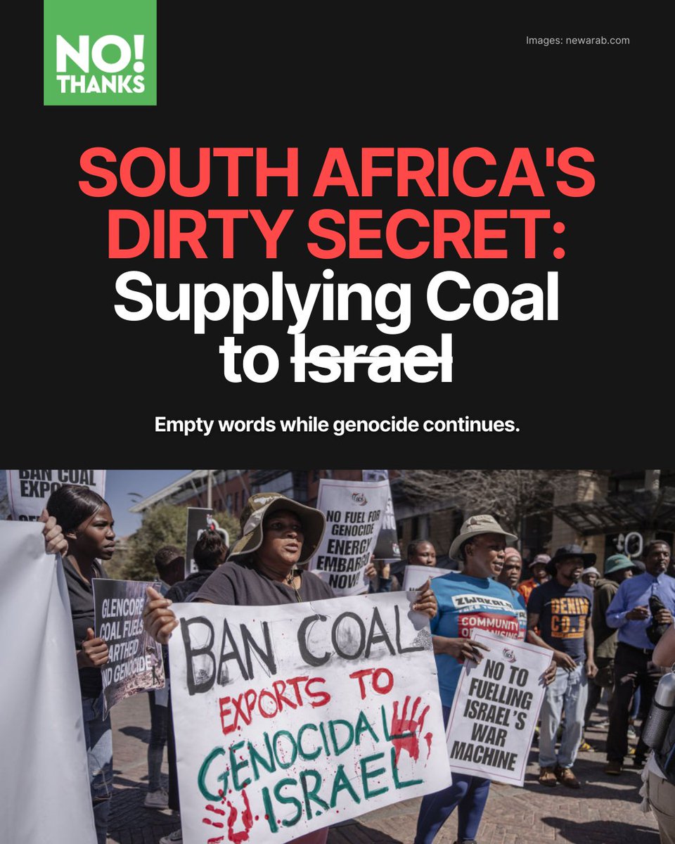 NoThanks tweet media