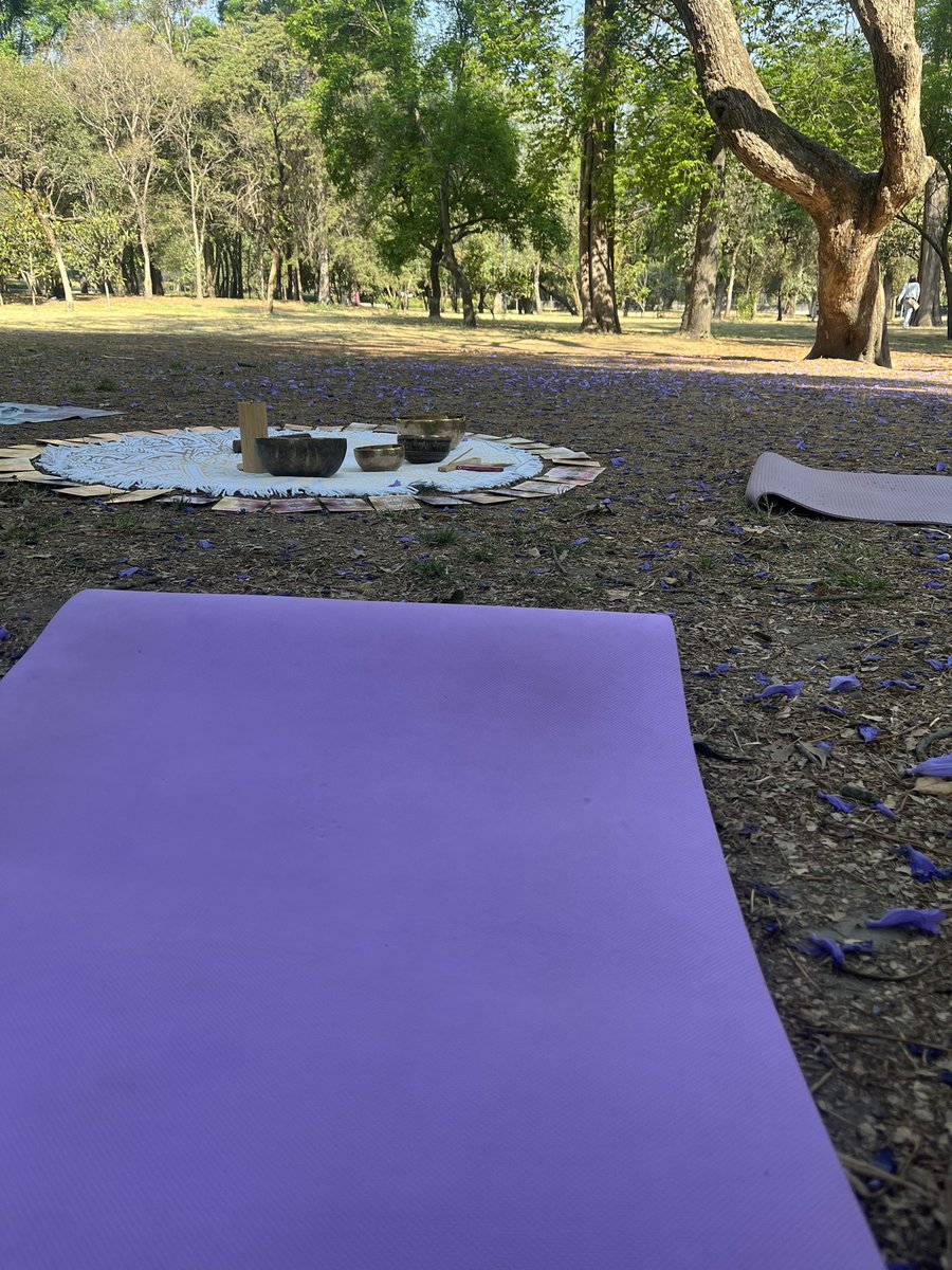 Miss Pacheco tweet media