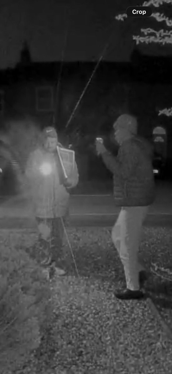 Adam Dandy tweet media