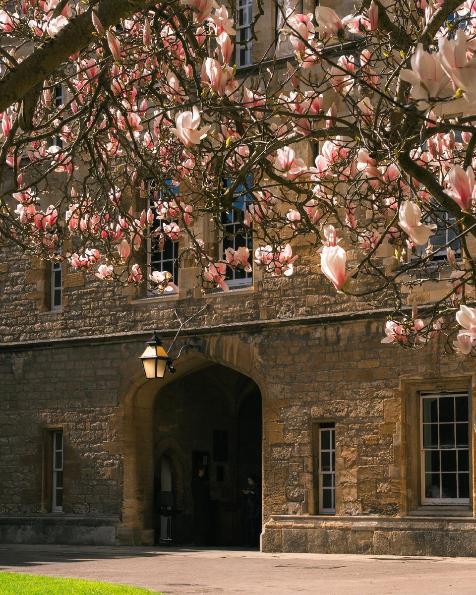 University of Oxford tweet media