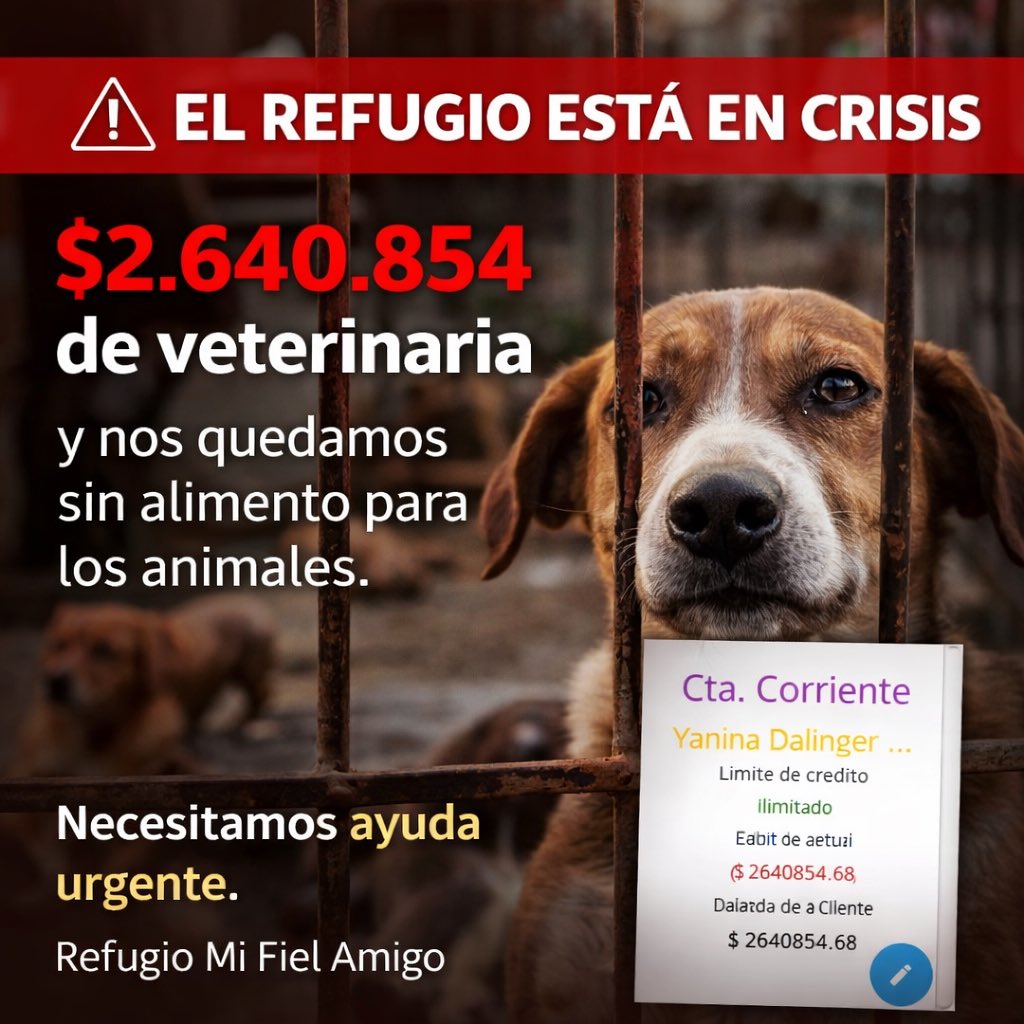 Organización Mi Fiel Amigo tweet media