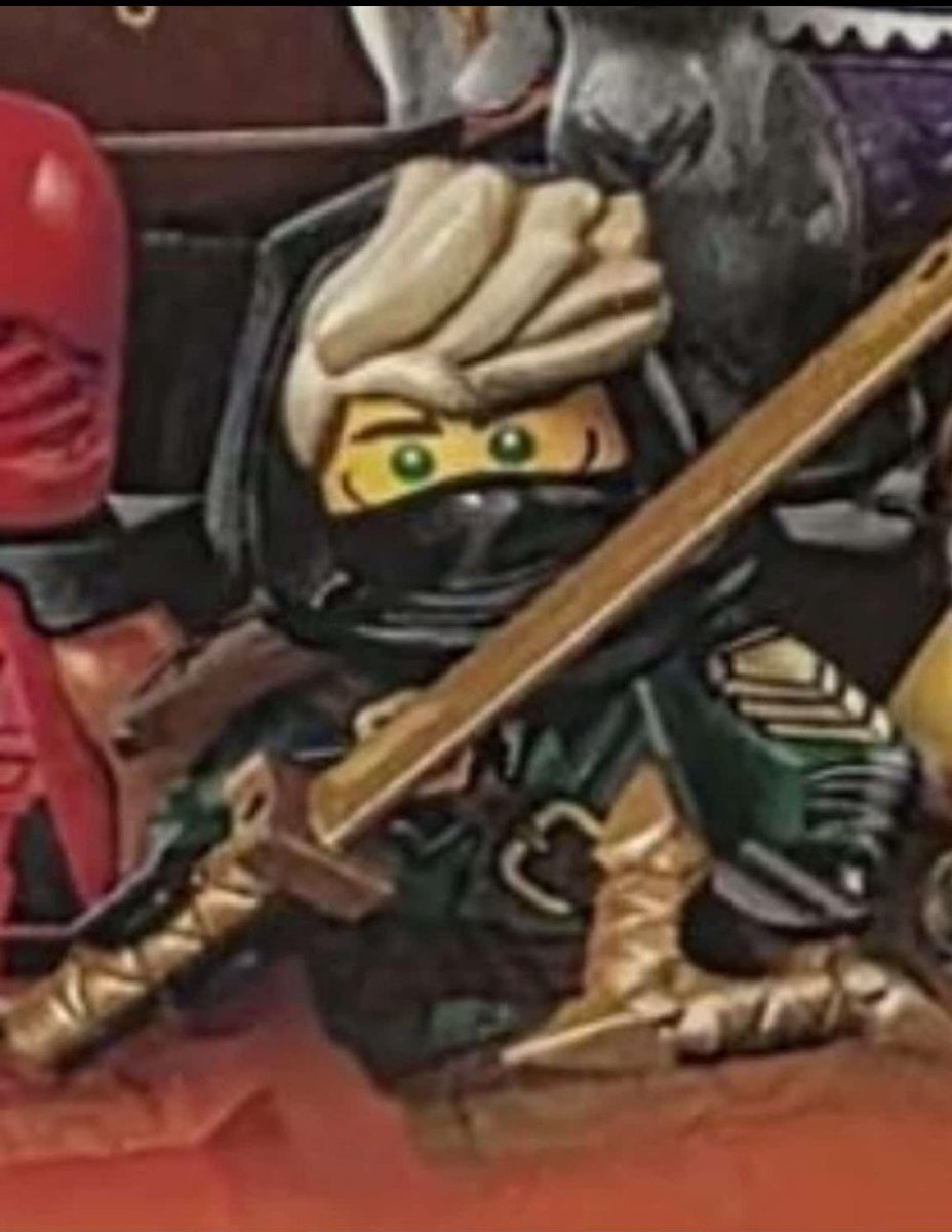 Icy at the Shadow Dojo tweet media